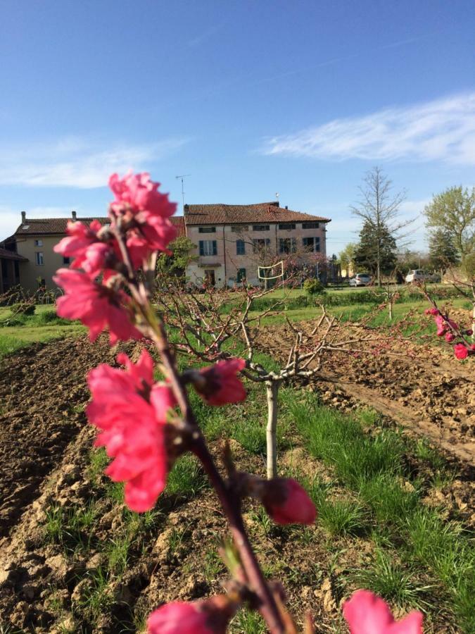 Fattoria Del Soul Hotel Bosco Marengo Eksteriør billede